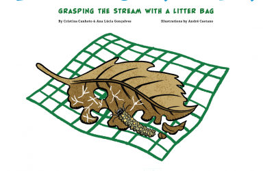 Leaf Decomposition methodology – Comic Book